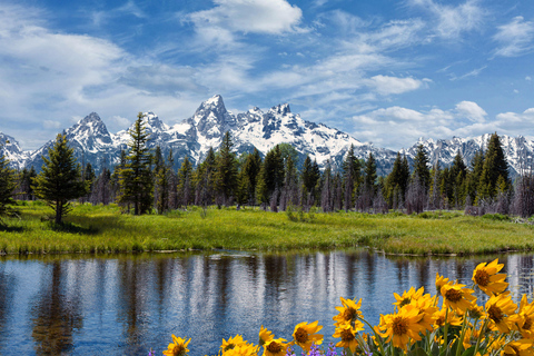 From Bozeman: Classic Yellowstone Tour (2 Days & 1 Night)