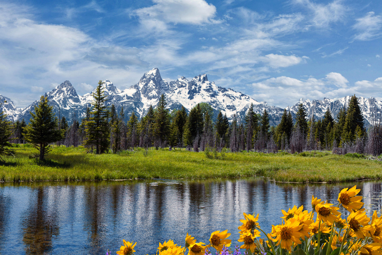 From Bozeman: Classic Yellowstone Tour (2 Days & 1 Night)