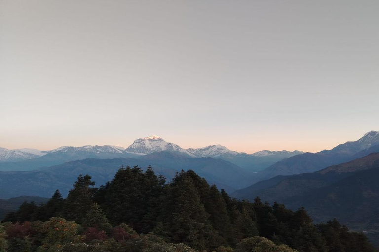 Pokhara: 6-Day Ghorepani, Poon Hill, and Jhinu Trek