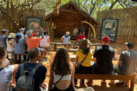 Johannesburg : Safari à l&#039;éléphant, à cheval et au lion