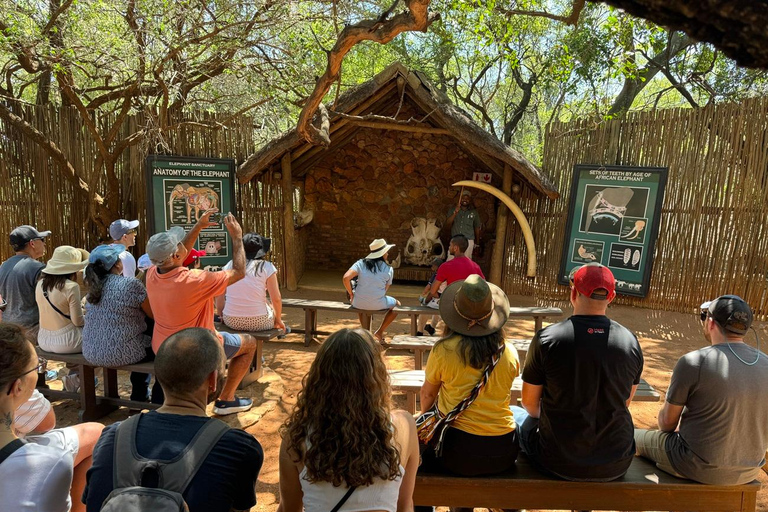 Johannesburg : Safari à l&#039;éléphant, à cheval et au lion