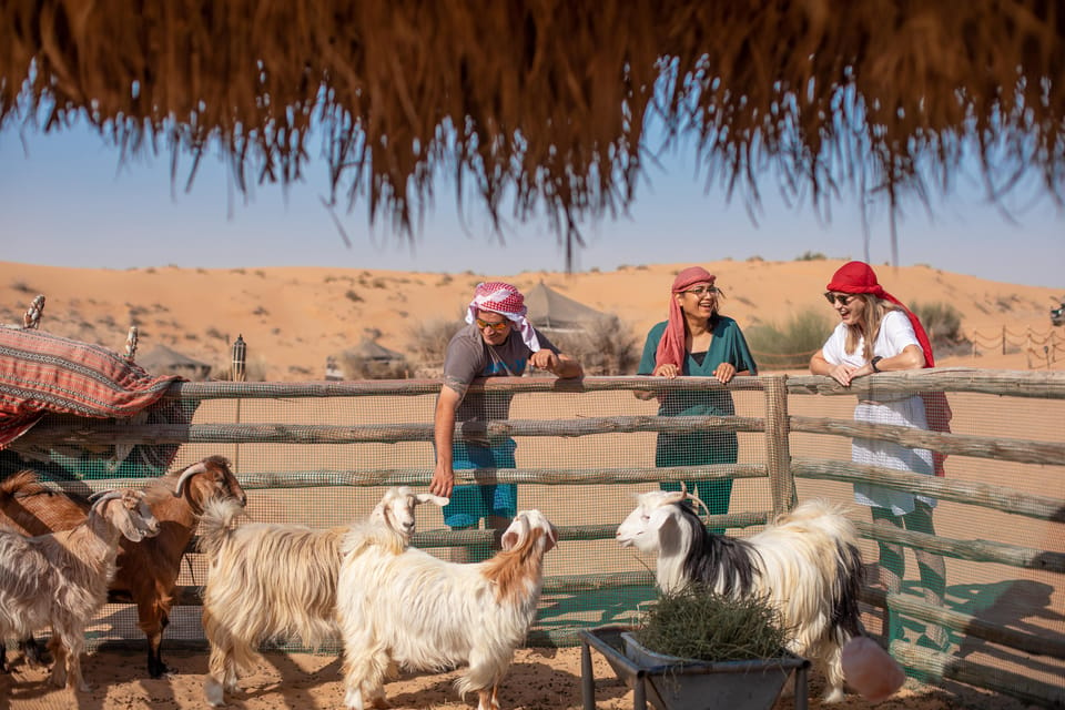 Dubaï : Safari Culturel Bédouin Matinal Avec Petit-déjeuner | GetYourGuide