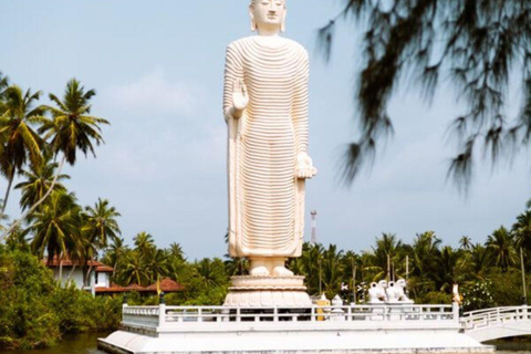 Colombo: Galle Fort, River Safari, and Coast Day Trip From Colombo, Negombo and kaluthara to Galle Fort