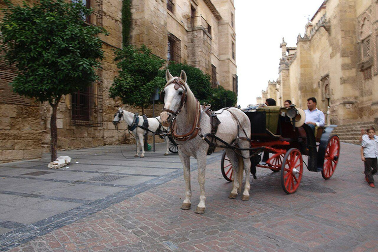 Córdoba: Private Horse-Drawn Carriage Ride Through the Jewish Quarter and the Mosque Private Carriage without a Live Guide (Max. 4 People)