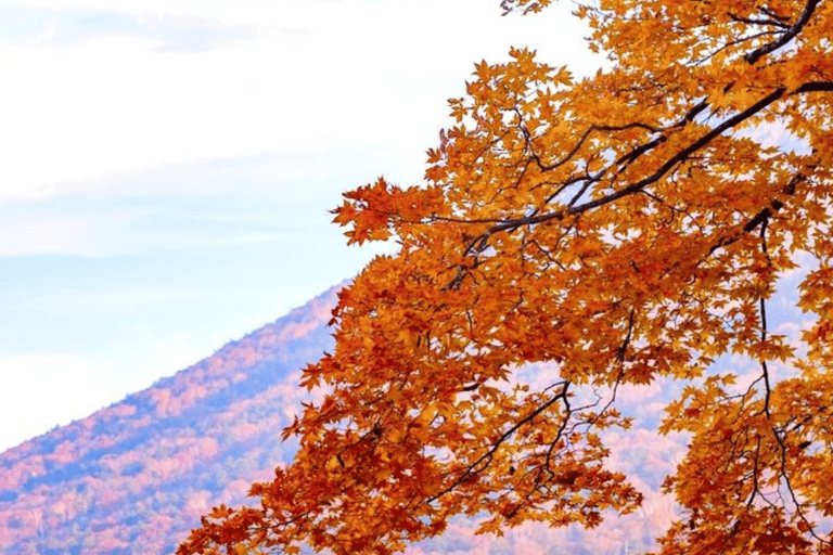 From Tokyo: Nikko Private Full-Day Heritage & Nature Tour