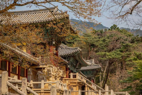 From Busan: Gyeongju Custom Private Day Tour with Pickup