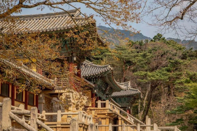 From Busan: Gyeongju Custom Private Day Tour with Pickup