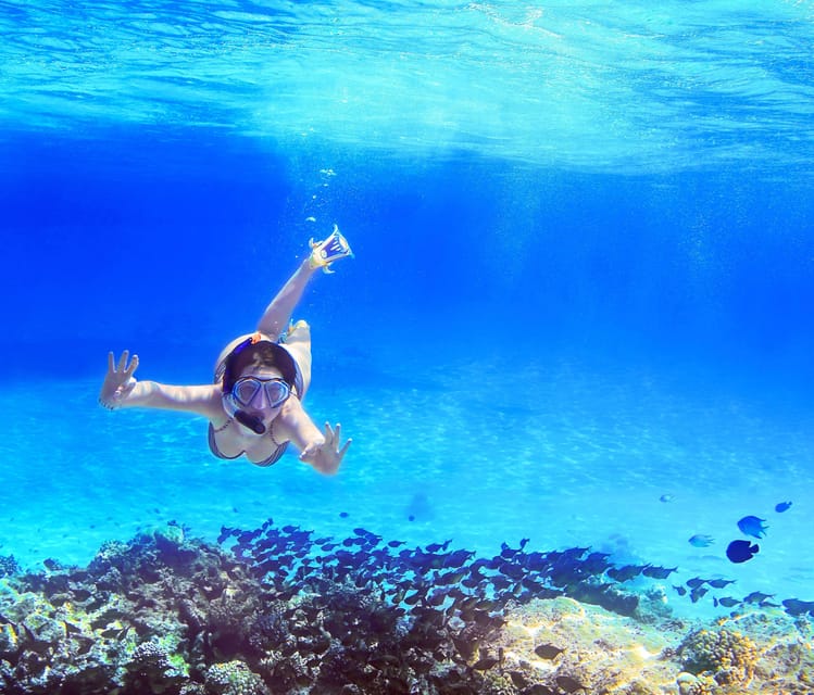 From Amalfi: Capri Island Boat Tour with Snorkeling & Drinks | GetYourGuide