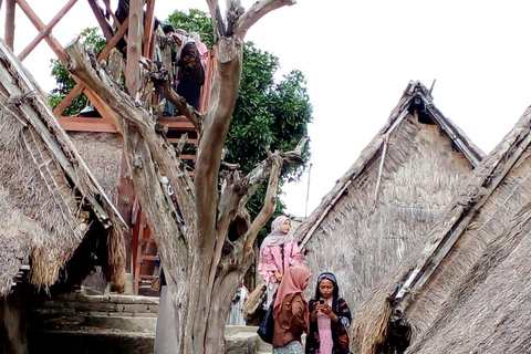 From Gili Island : Lombok Beaches and Culture Tour From Gili Air : Lombok Beach and Traditional Village Tour