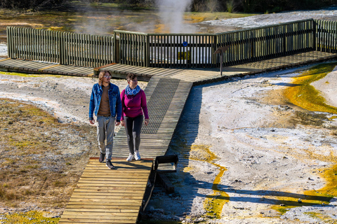 Desde Auckland: Excursión de un día en grupo a la Cueva de Waitomo y Orakei Korako