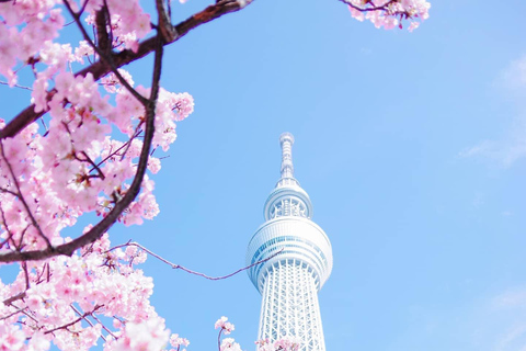 Tour privato di un giorno a Tokyo con guida in inglese