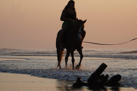 Bali: Sunrise Horse Riding Sanur Beach Experience 1 Hour Ride Include Hotel Transfer