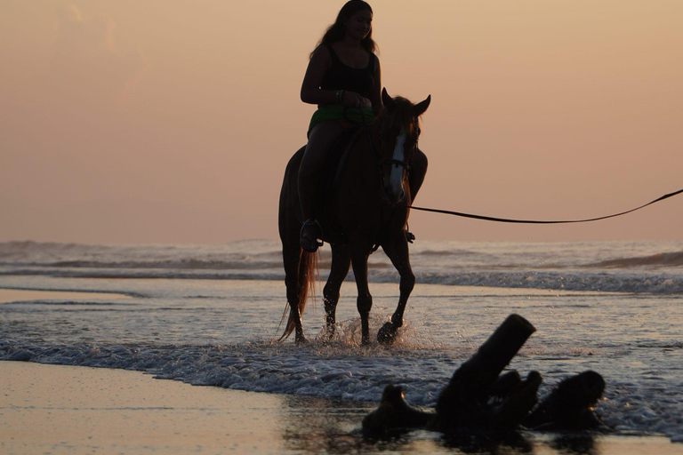 Bali: Sunrise Horse Riding Sanur Beach Experience 1 Hour Ride Include Hotel Transfer
