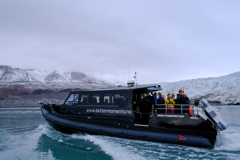 Tromsø: Orca and Whale Watching Heated Boat Trip Tromsø: Orca and Whale Watching comfort heated boat Trip