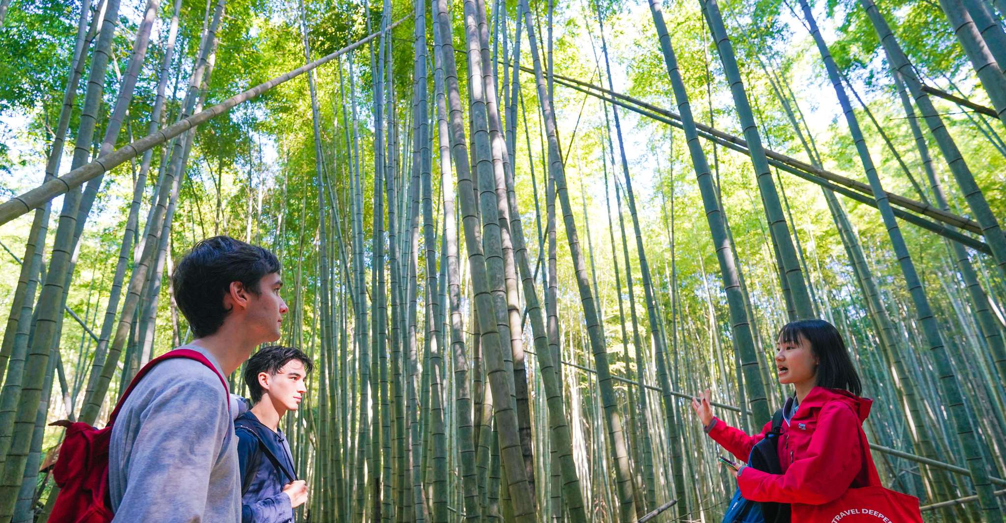 Kyoto: 3-Hour Fushimi Inari Shrine Hidden Hiking Tour