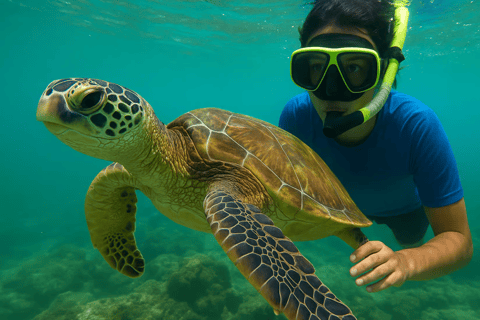 Mirissa: Snorkel, Secret Beach & Sunset at Coconut Hill Mirissa Coastal Discovery : Without Pickup & Drop off