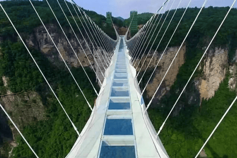 Zhangjiajie must see Avatar Mountain& glass bridge day tour Zhangjiajie Avatar Mountain& glass bridge from Zhangjiajie