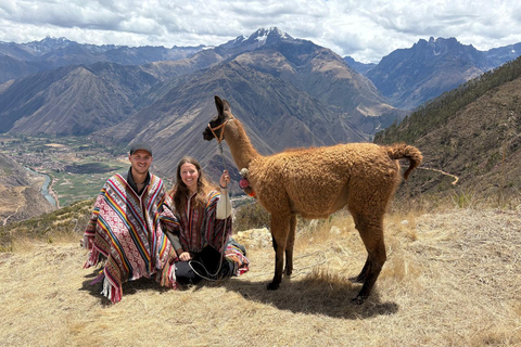 Cusco, Perù: passeggiata con gli alpacaCusco, Peru: Alpaca Walking Experience