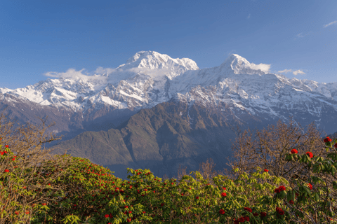 Short Mardi Himal Trek: A Perfect 5-Day Escape from Pokhara