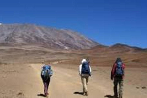 Experiencia 4 Días Escalada Kilimanjaro Ruta Machame