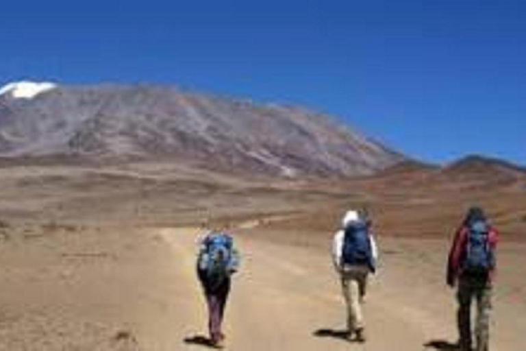 Esperienza di 4 giorni di scalata del Kilimangiaro sulla via Machame