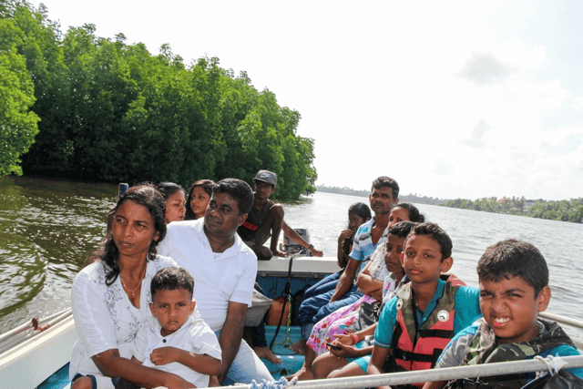 Bentota: Private Mangrove Cave Boat Tour & Wildlife Safari