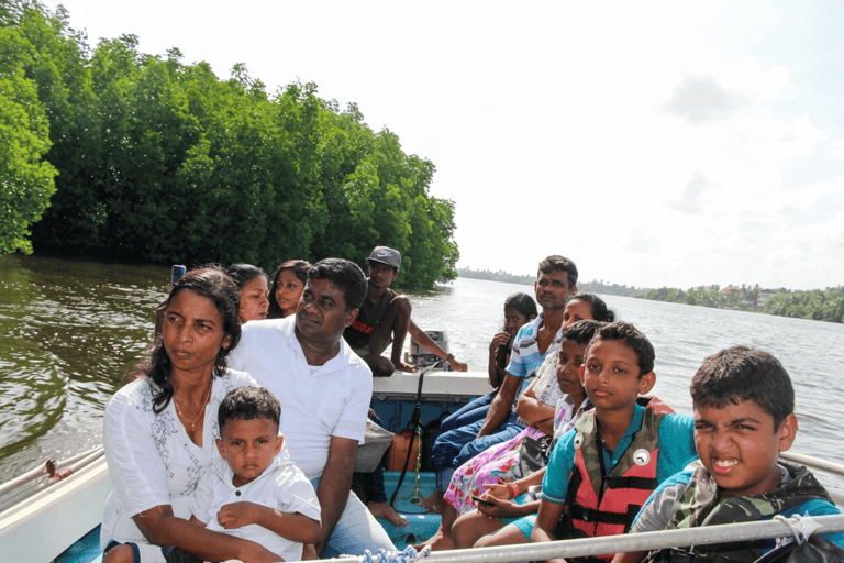 Bentota: Private Mangrove Cave Boat Tour & Wildlife Safari 1-Hour River Highlights Safari