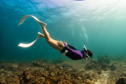 Boracay Discovery Free Diving Experience