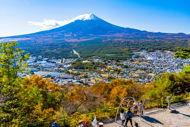 Mount Fuji Day Tour: Instagrammable Spots + Scenic Train From Tokyo (Including ropeway and cruise)
