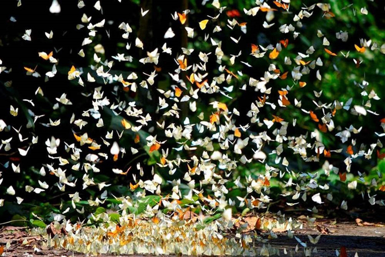 Hanoi: Van Long Wetland, Bear Sanctuary, Cuc Phuong Tour