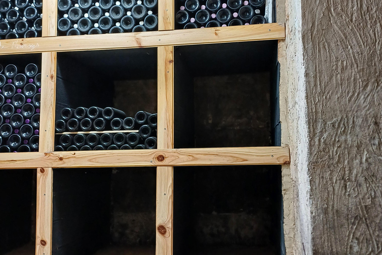 Valencia: Vineyard Tour with Local Wine Tasting & Appetizer