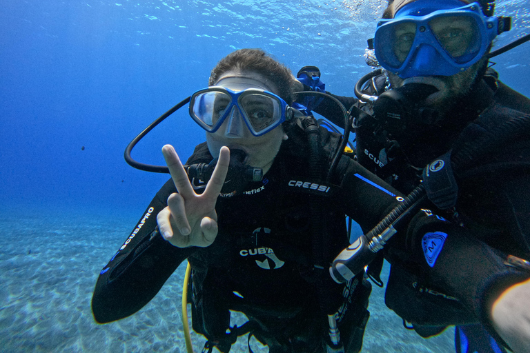 Isla de Pascua: Buceo recreativo-turístico personalizado