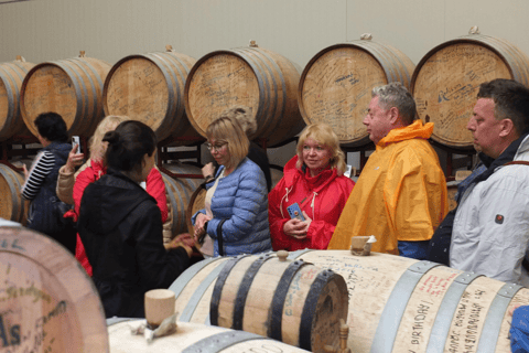 Khor Virap, Areni winery, Noravank, Jermuk city, waterfall Private tour with guide