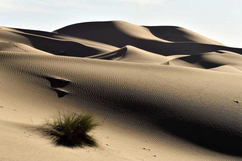 3 jours d'excursion dans le désert depuis Marrakech jusqu'aux dunes de Merzouga et aux chameaux