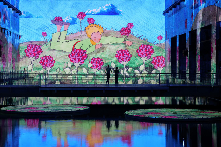 Bordeaux : Bassins des Lumières Billet Le Petit Prince