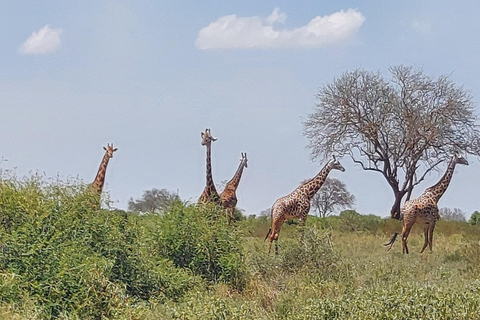 Mombasa: 3-Day Tsavo East/West & Kilimanjaro Views Safari