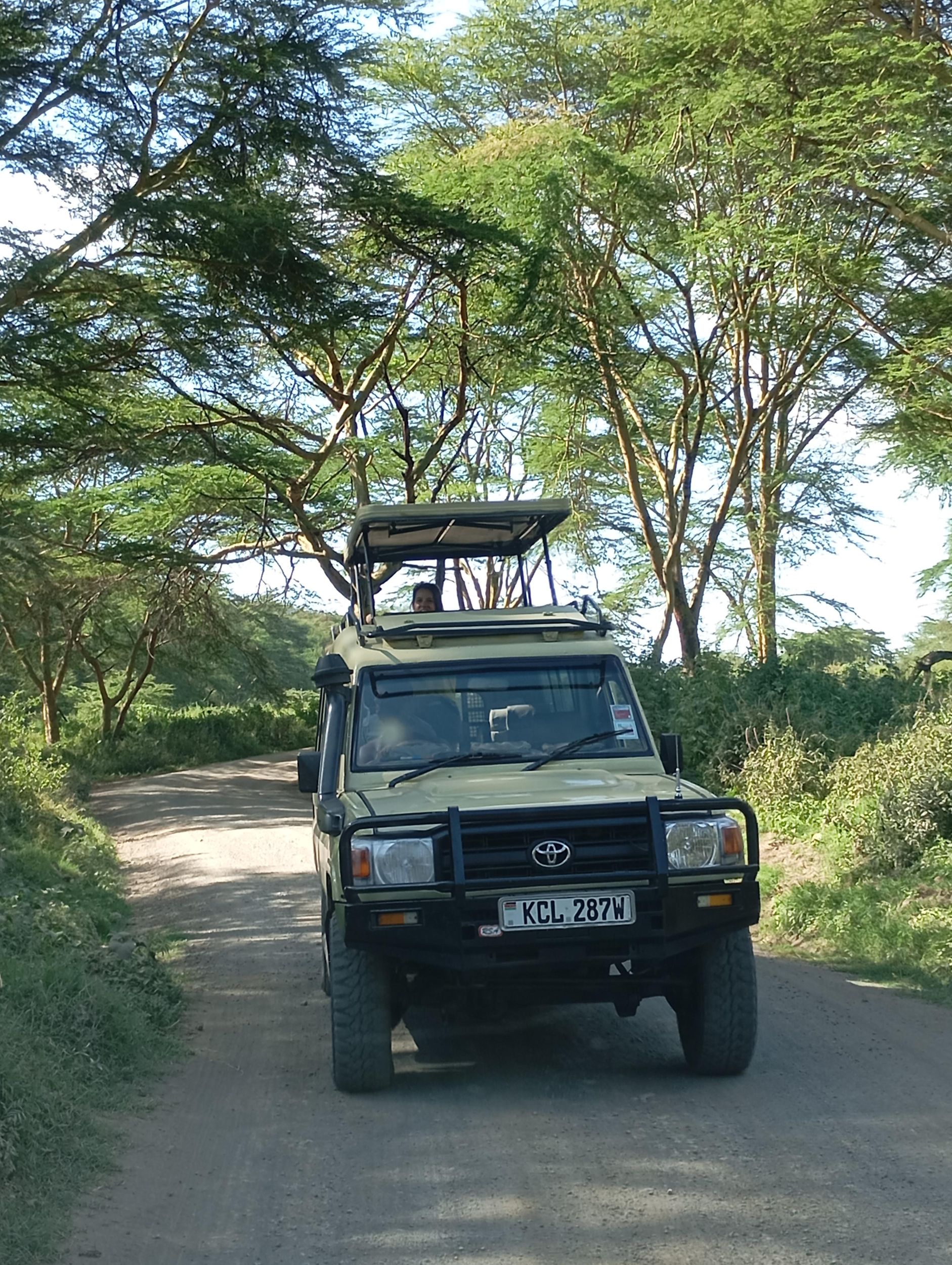 Tagestour zum Lake Nakuru Nationalpark von Nairobi aus
