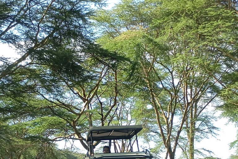 Excursión de un día al Parque Nacional del Lago Nakuru desde Nairobi