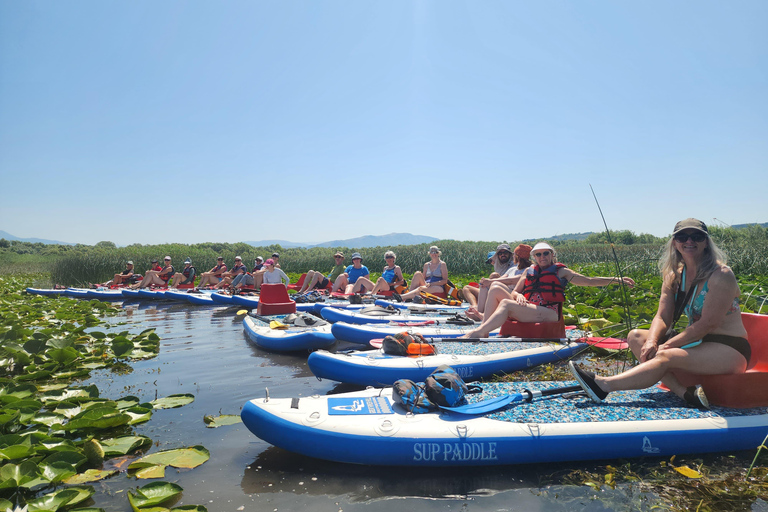 Shkodra Lake: Self-Guided Paddle Board or Kayak Tour