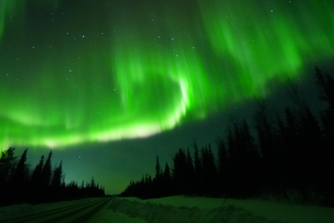 From Kiruna: Abisko National Park Northern Lights Tour