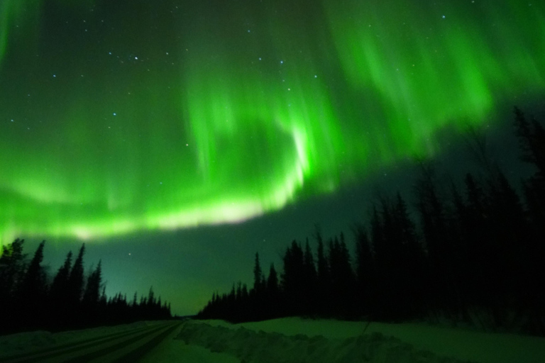 From Kiruna: Abisko National Park Northern Lights Tour
