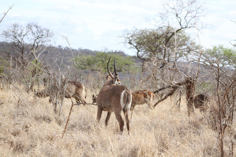 Arusha: 2-Day Ngorongoro Crater and Tarangire Safari