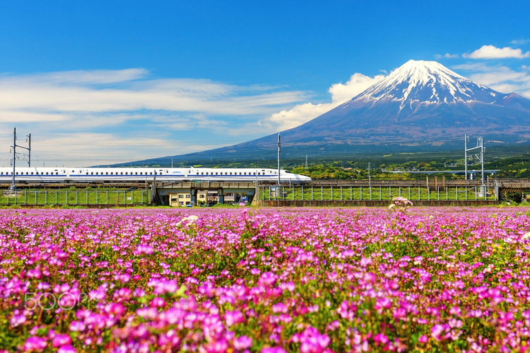 Da Tokyo: Monte Fuji, Oshino Hakkai e tour delle sorgenti termali8:30 Prelievo all&#039;uscita Shinjuku Ovest