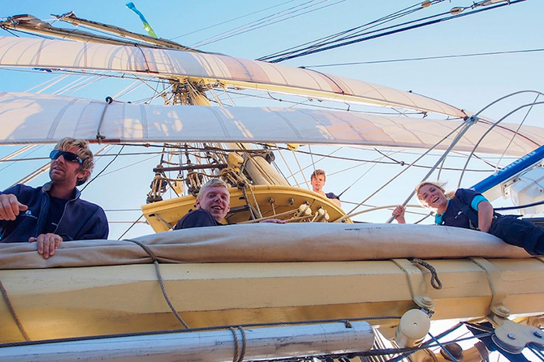 Stockholm: Historic Sailing Adventure on Traditional brig Full Day (7h)