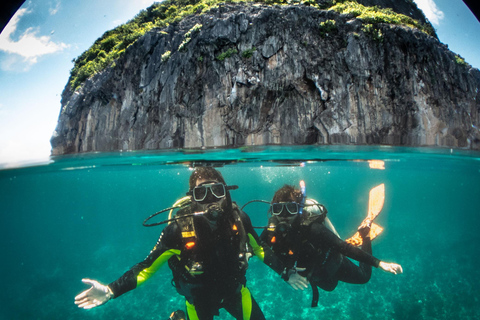 El Nido: Deep Blue Dive Seafari Experience