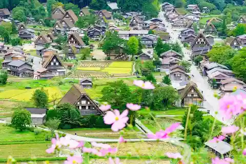 名古屋発：白川郷・飛騨高山日帰りツアー