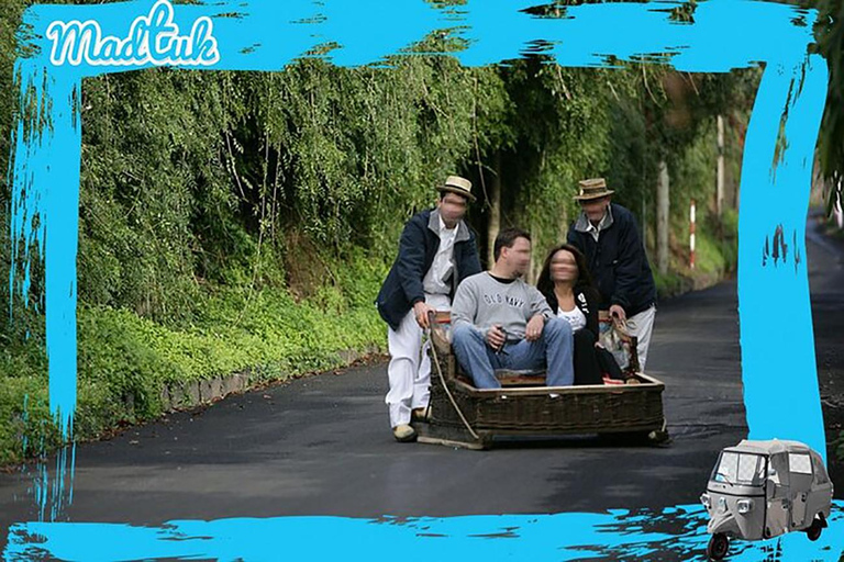 Madeira: Monte Toboggan & Old Town Guided Tuk Tour by MadTuk
