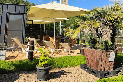 Alpaca Park: choose your alpaca for a walk + feeding