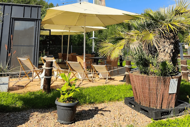 Alpaca Park: choose your alpaca for a walk + feeding