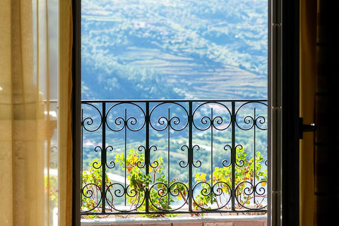 From Porto: Douro Valley w/ Boat Tour, Wine Tasting & Lunch Tour in French with Hotel Pickup